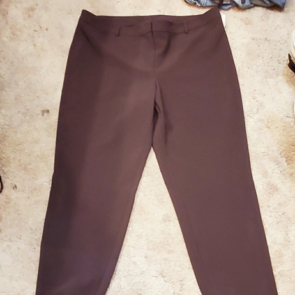 BNWT ST. JOHN SLACKS